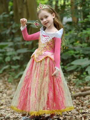 Disney 2025 birthday dress